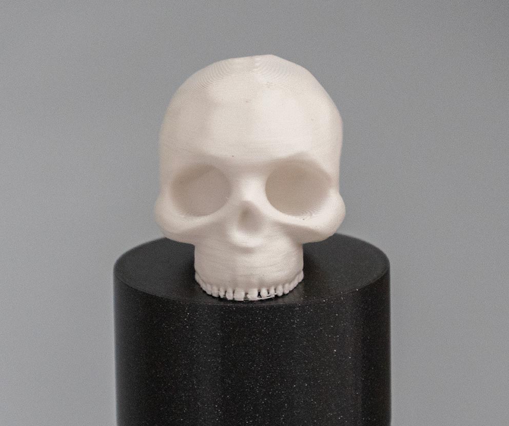 Skull